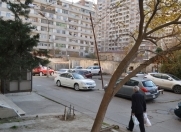 İcarəyə verilir 2 otaqlı 70 m2 köhnə tikili Şah İsmayıl Xətai m.