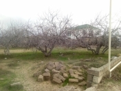 Satılır 12 sot torpaq Nardaran