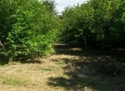 Satılır 14 sot torpaq Ağdaş