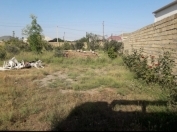 Satılır 3 sot torpaq Məhəmmədli