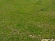 Satılır 20 sot torpaq Binə