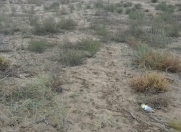 Satılır 12 sot torpaq Nardaran