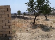 Satılır 8 sot torpaq Saray