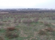 Satılır 6 sot torpaq Sumqayıt