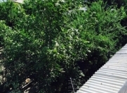 Satılır 3 otaqlı 69 m2 köhnə tikili Montin