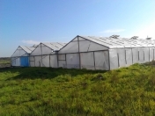 Satılır 35 sot torpaq Salyan