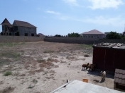 Satılır 22 sot torpaq Bilgəh