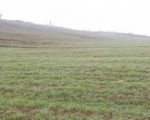 Satılır 4 sot torpaq Y.Suraxanı