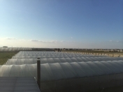 Satılır 5 otaqlı 600 m2 obyekt Maştağa