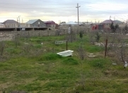 Satılır 12 sot torpaq Albalı