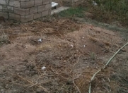 Satılır 2 sot torpaq Ukrayna dairəsi