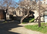 Satılır 7 otaqlı 1800 m2 obyekt Bakıxanov