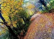 Satılır 3 otaqlı 6 m2 həyət evi Lənkəran