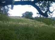 Satılır 6 sot torpaq Quba