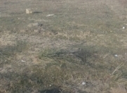 Satılır 11 sot torpaq Fatmayı