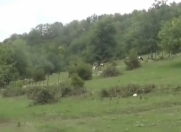 Satılır 76 sot torpaq Quba