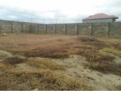 Satılır 10 sot torpaq Saray