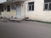 Satılır 6 otaqlı 100 m2 obyekt 8 km