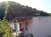 Satılır 1 otaqlı 20 m2 bağ evi Şamaxı