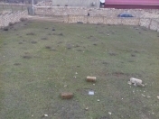 Satılır 5 sot torpaq Hökməli