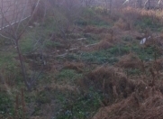 Satılır 6 sot torpaq Hövsan