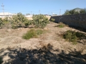 Satılır 12 sot torpaq Pirşağı