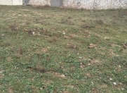 Satılır 5 sot torpaq Sulutəpə