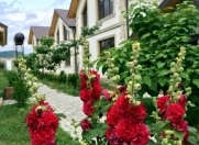 İcarəyə verilir 4 otaqlı 180 m2 həyət evi Qusar