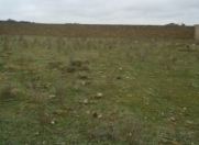 Satılır 8 sot torpaq Fatmayı