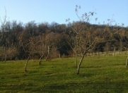 Satılır 10 sot torpaq İsmayıllı