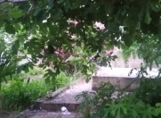 Satılır 5 otaqlı 160 m2 bağ evi Fatmayı