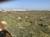 Satılır 250 sot torpaq Zirə