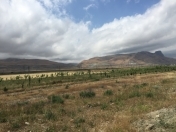 Satılır 16792 sot torpaq Siyəzən