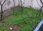 Satılır 4 sot torpaq Neapol dairəsi