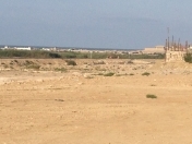 Satılır 50 sot torpaq Pirşağı