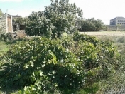 Satılır 5 sot torpaq Bilgəh