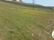 Satılır 100 sot torpaq Qafqaz Universiteti