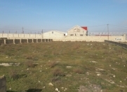 Satılır 10 sot torpaq Türkan