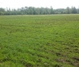 Satılır 12 sot torpaq Qusar