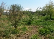 Satılır 10 sot torpaq Saray