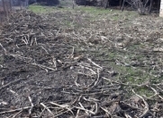 Satılır 20 sot torpaq Tovuz