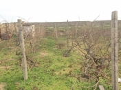 Satılır 10 sot torpaq Bilgəh