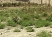 Satılır 2 sot torpaq Bakıxanov