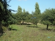 Satılır 7 sot torpaq Quba