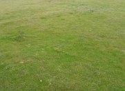 Satılır 12 sot torpaq Şamaxı