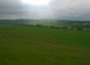 Satılır 90 sot torpaq Quba