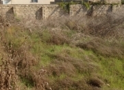 Satılır 5.5 sot torpaq Savalan