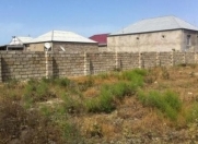 Satılır 16 sot torpaq Xaşaxuna