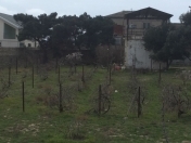 Satılır 18 sot torpaq Bilgəh