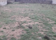 Satılır 12 sot torpaq Qala